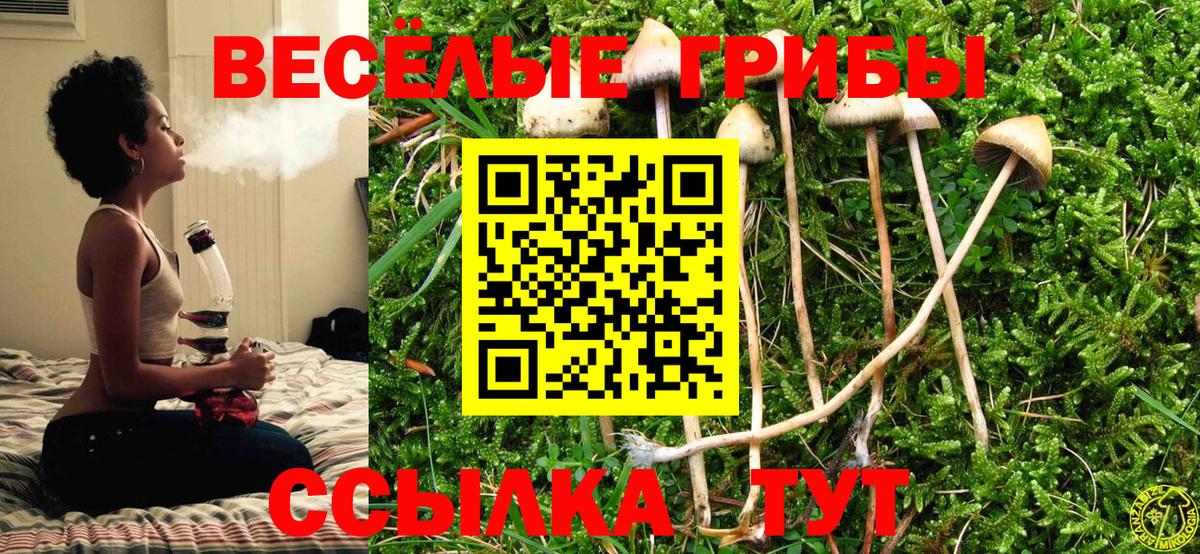 Галлюциногенные грибы мухоморы  Вход с VPN  где можно купить   Сибай 