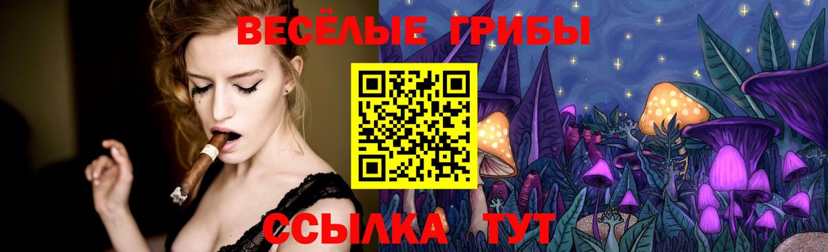 Псилоцибиновые грибы Psilocybine cubensis Сибай